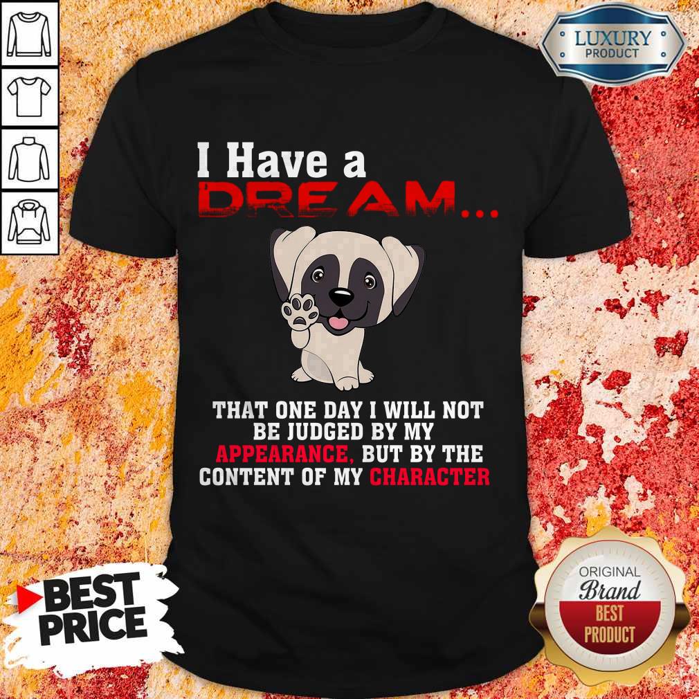 I Have A Dream That One Day I Will Not Be Judged By My Appearance But By The Content Of My Character Shirt