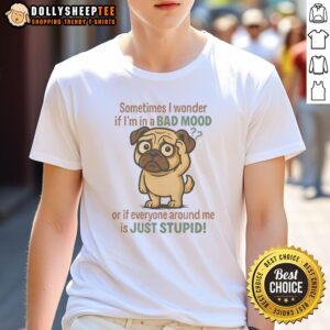 Funny Pug Sometimes I Wonder If I'm In A Bad Mood Or If Everyone Around Me Is Just Stupid T-Shirt