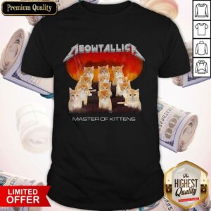 Awesome Meowtallica Master of Kittens