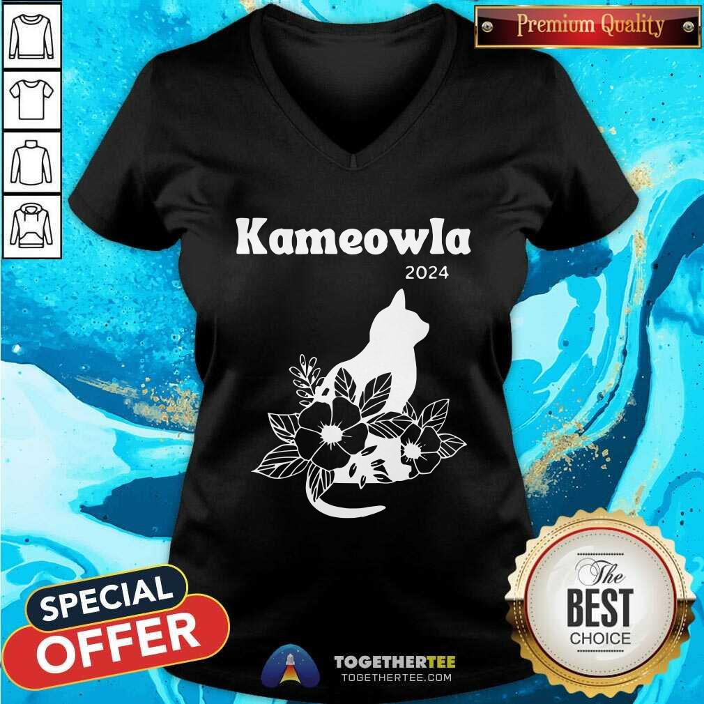 Nice Kamala Cat Lady More Flattering Green Than Neon Kamala Harris T-Shirt - Image 3