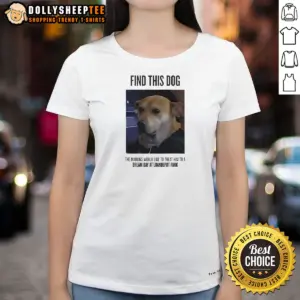 Alternative view of Nice Find This Dog The Marlins Would Like To Treat Him To A Dream Day At Loandepot Park Shirt