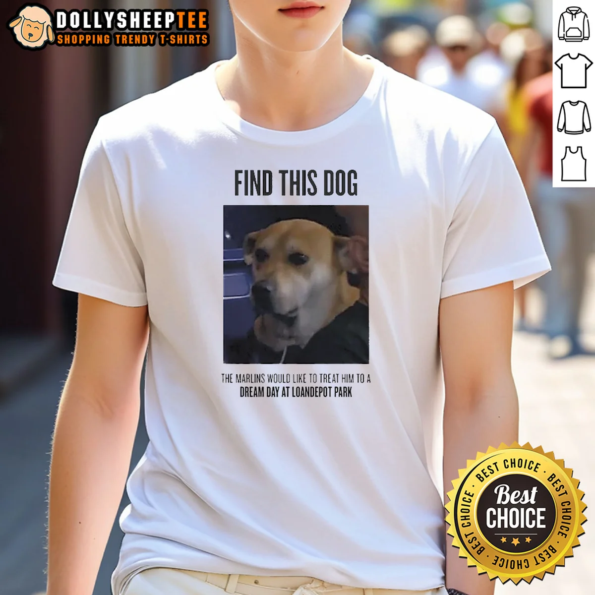 Nice Find This Dog The Marlins Would Like To Treat Him To A Dream Day At Loandepot Park Shirt