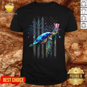 Turtle 4th Of July Independence Day Shirt