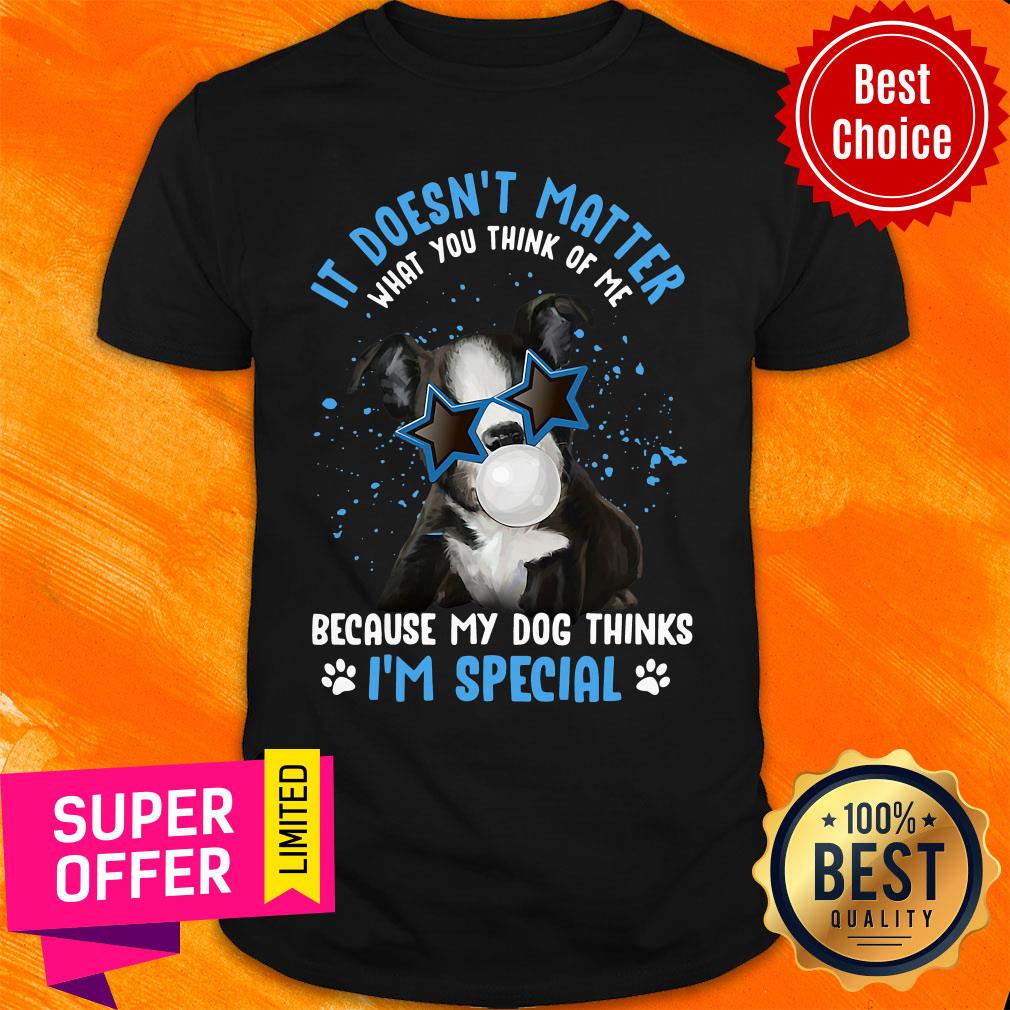My Boston Terrier it Doesn't Mattrer What You Think of Me Because My Dog Thinks I'm Speacial Shirt