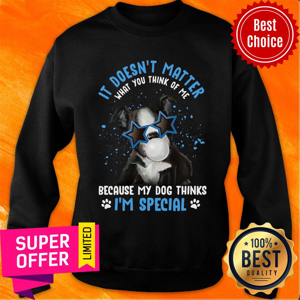 My Boston Terrier it Doesn't Mattrer What You Think of Me Because My Dog Thinks I'm Speacial Shirt - Image 5