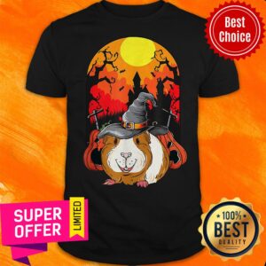 Premium Guinea Pig Witch Pumpkin Halloween Shirt