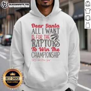 Alternative view of Awesome Toronto Raptors All I Want For Christmas T-Shirt