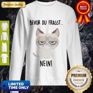 Alternative view of Premium Bevor Du Fragst Nein Cat Shirt