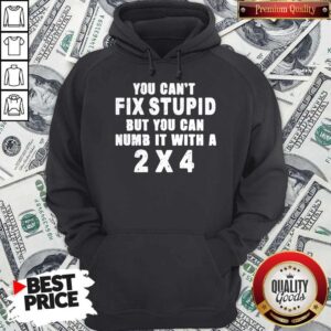 Alternative view of Perfect You Can’t Fix Stupid But You Can Numb It With A 2×4 Shirt