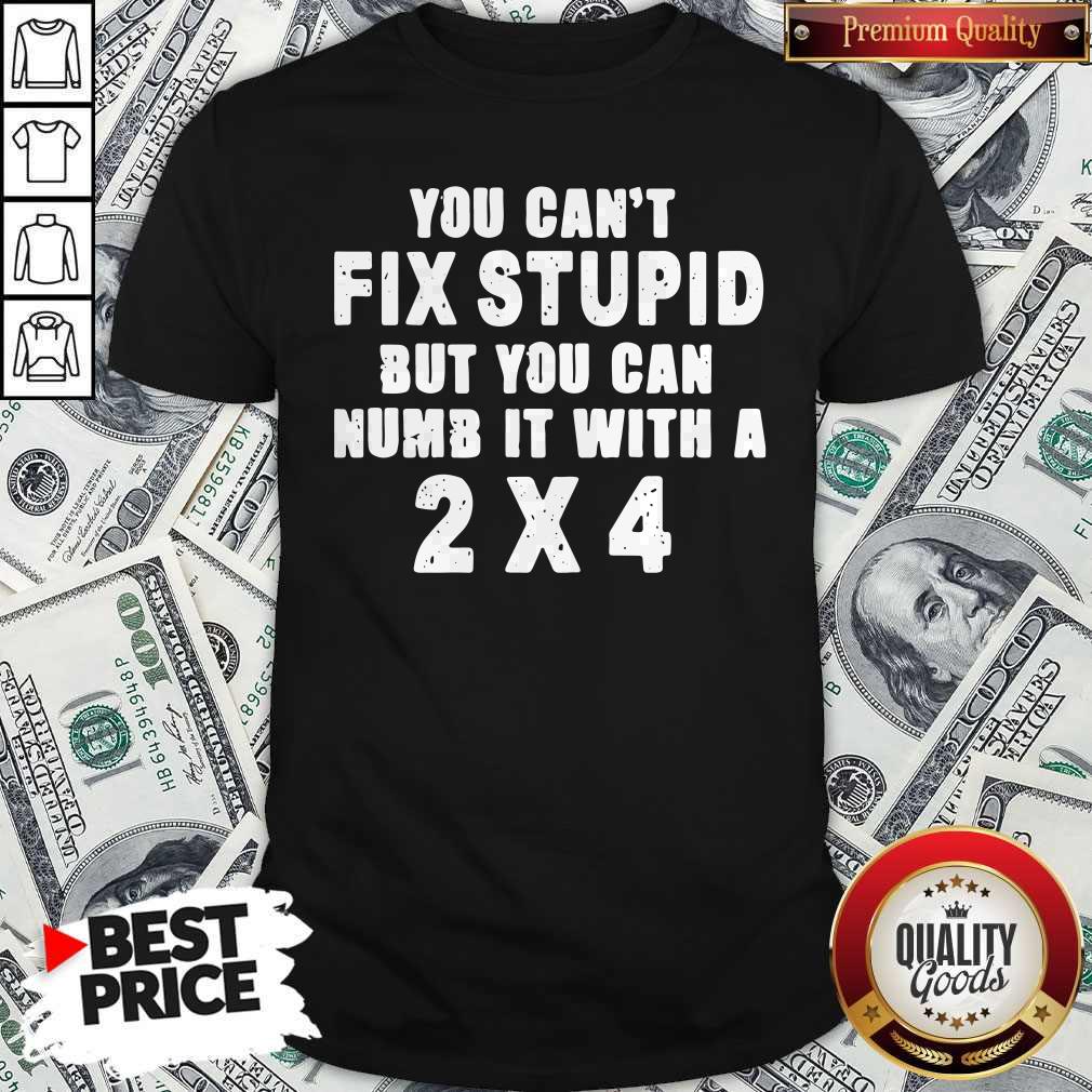 Perfect You Can’t Fix Stupid But You Can Numb It With A 2×4 Shirt
