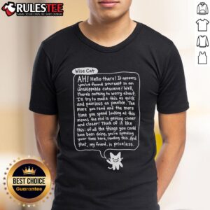 Awesome Bandage Brigade Unskippable Cutscene Wise Cat T-Shirt