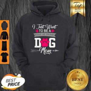 Alternative view of Awesome I Just Want To Be A Stay At Home Dog Mom Mothers Day Shirt