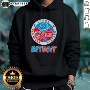 Alternative view of Awesome Detroit City Sports Lions Pistons Red Wings Logo T-Shirt