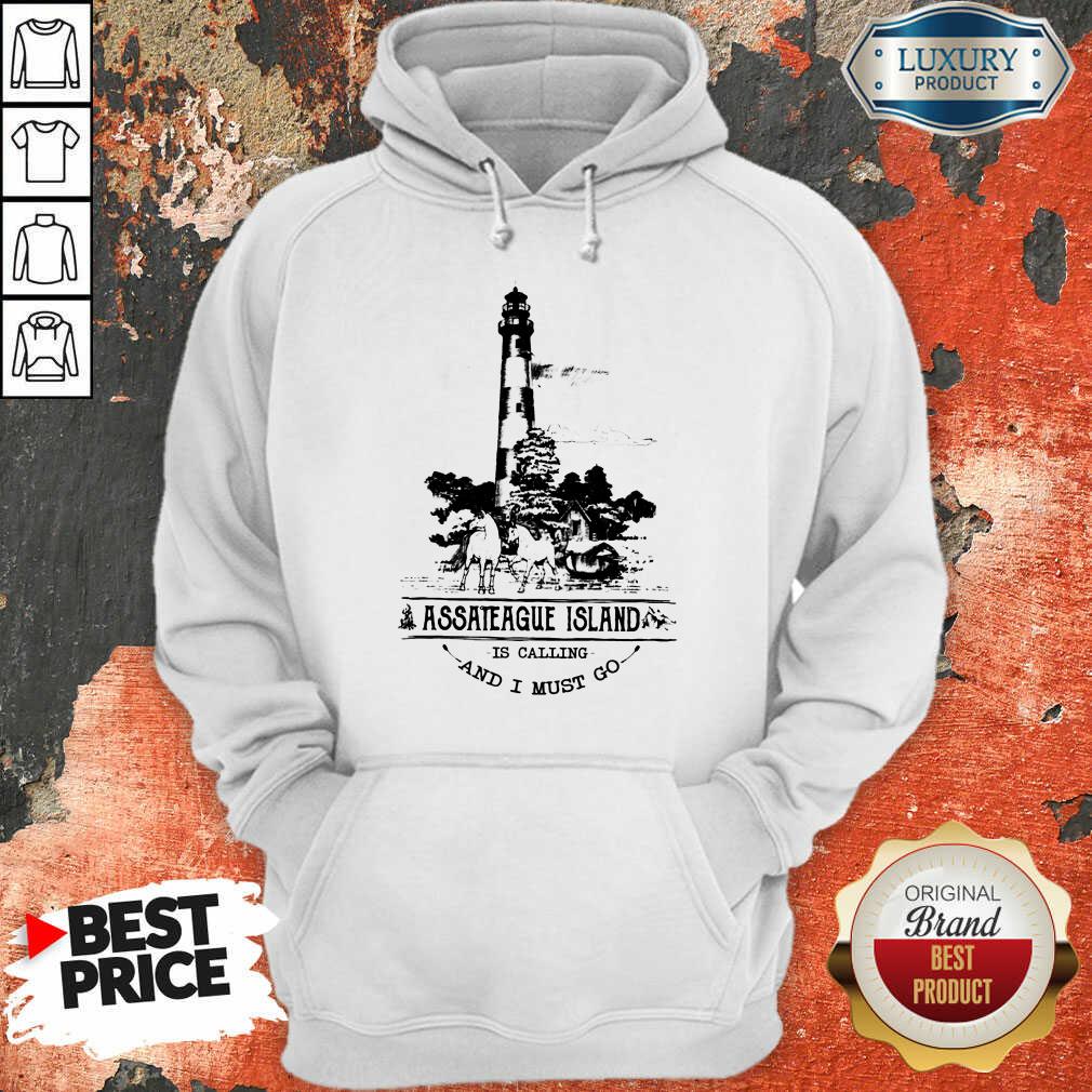Original Assateague Island Is Calling And I Must Go Shirt - Image 4