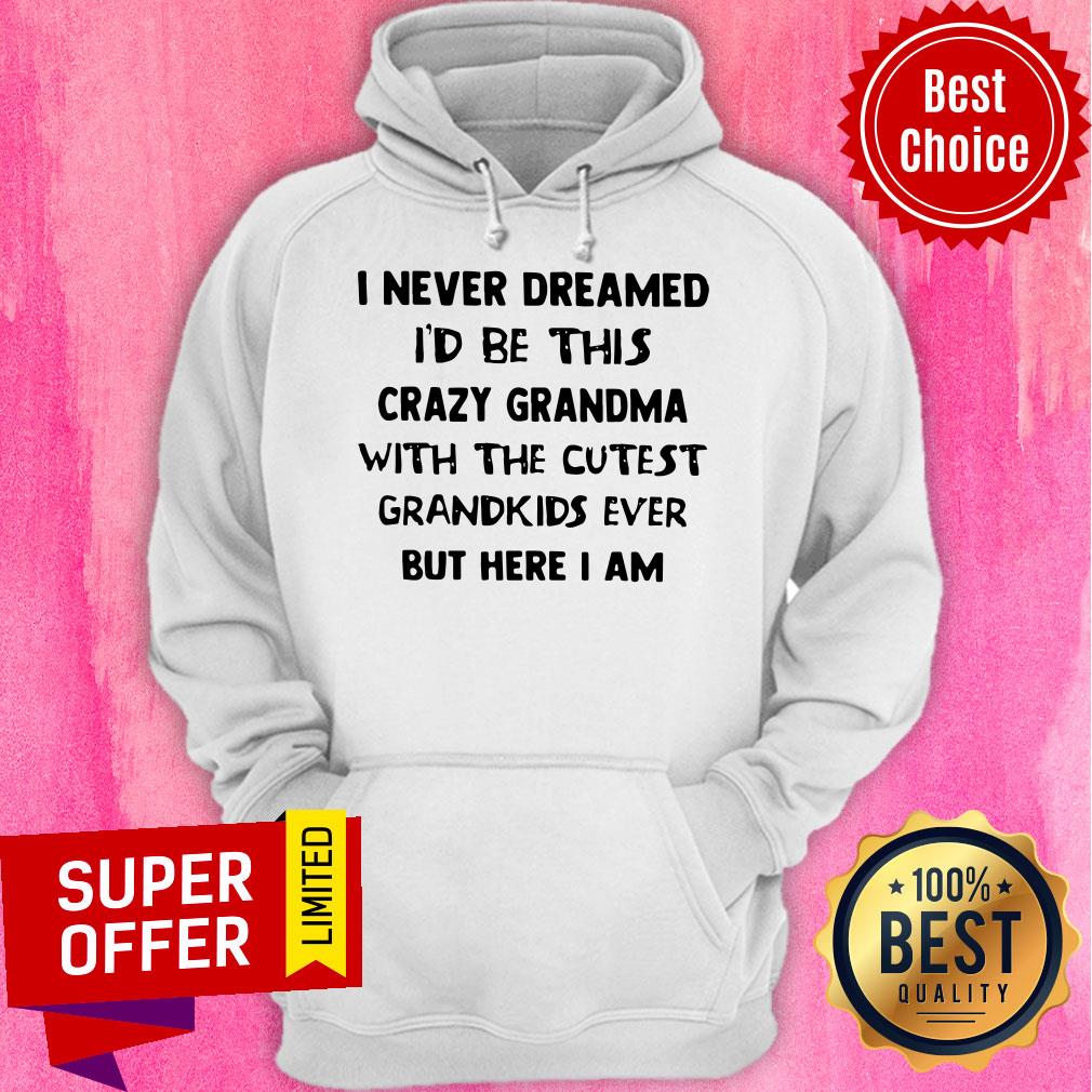 I Never Dreamed I’d Be This Crazy Grandma With The Cutest Grandkids Shirt - Image 3