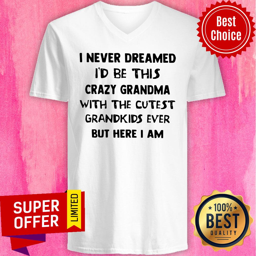 I Never Dreamed I’d Be This Crazy Grandma With The Cutest Grandkids Shirt - Image 4