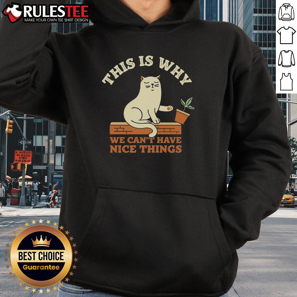 Funny This Is Why We Can't Have Nice Things Cat T-Shirt - Image 2