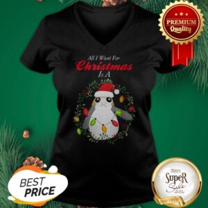 Alternative view of Official Star Wars Porg All I Want Christmas Holiday Shirt