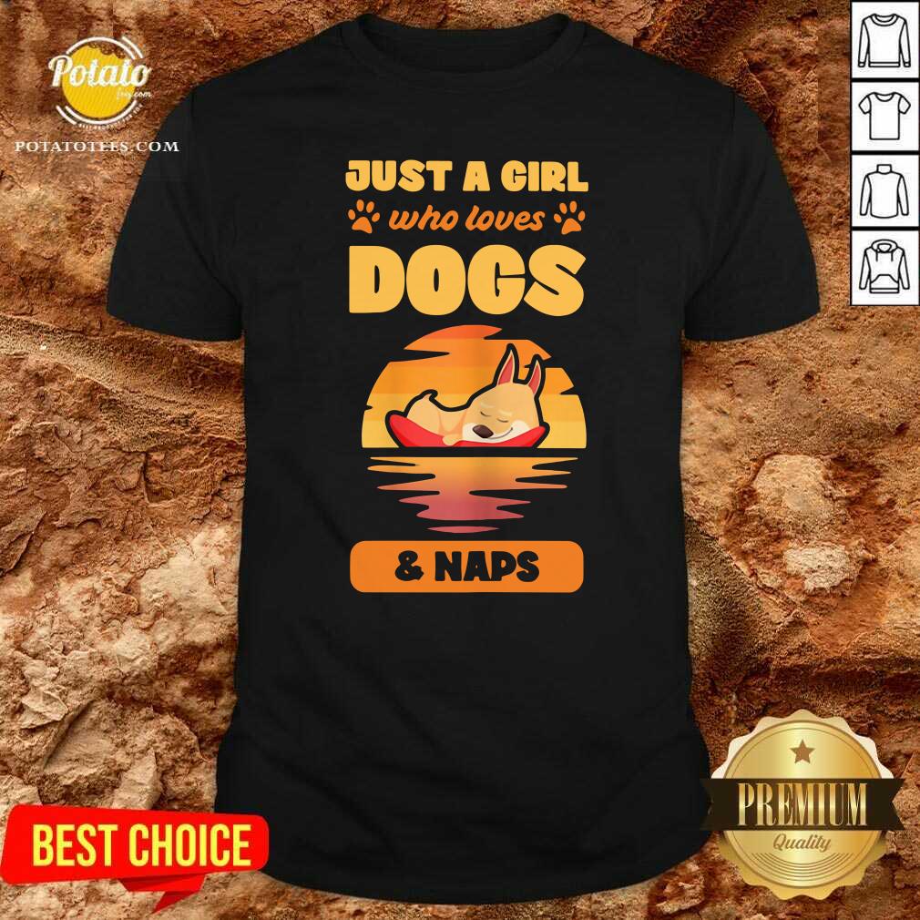 Funny Just A Girl Who Loves Dogs And Naps Shirt