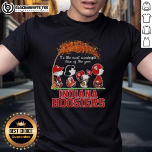 Awesome Indiana Hoosiers X Peanuts Snoopy And Friends Autumn It's The Most Wonderful Time Of The Year T-Shirt