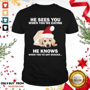 Cute Labrador He Sees You When You're Eating He Knows When You've Got Snacks Christmas Shirt