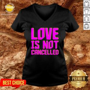 Alternative view of Funny Love Is Not Cancelled 2020 Shirt