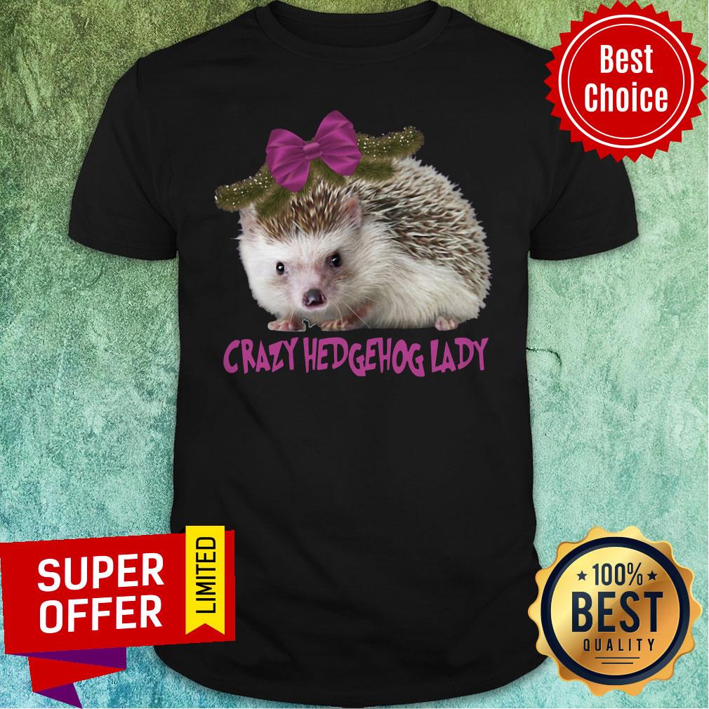 Awesome Crazy Hedgehog Lady Shirt