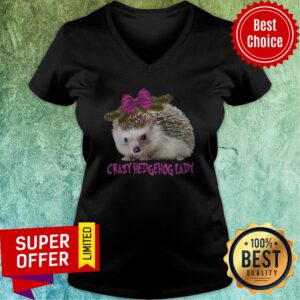 Alternative view of Awesome Crazy Hedgehog Lady Shirt