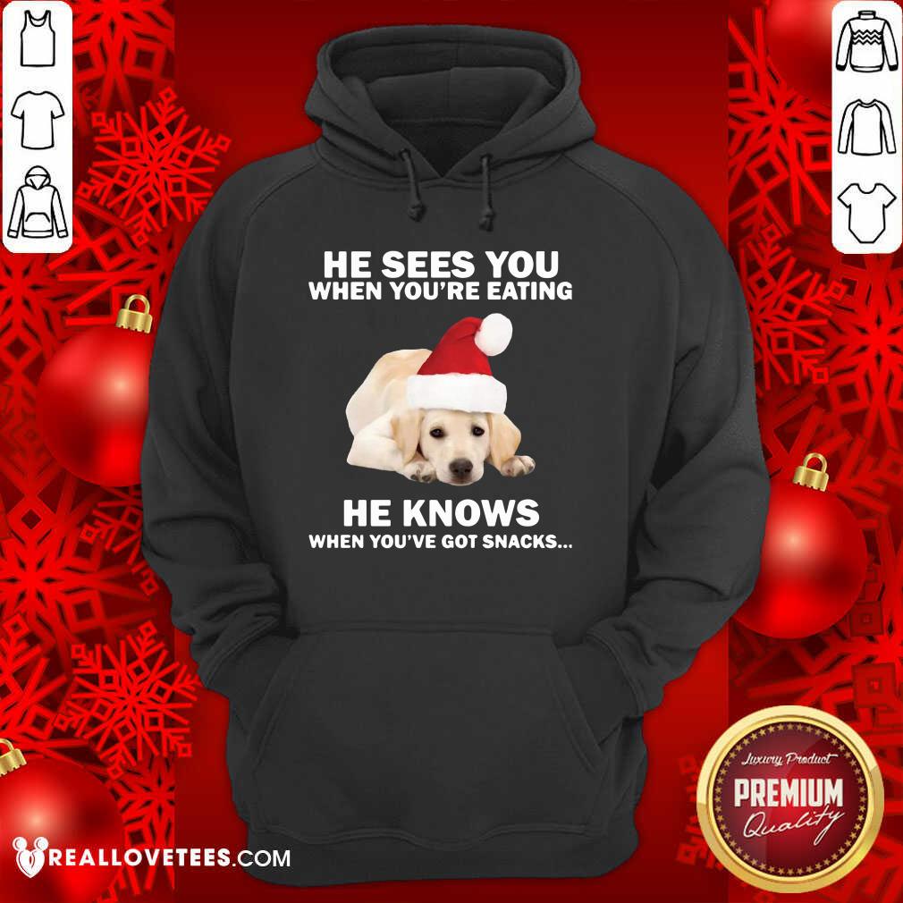 Cute Labrador He Sees You When You're Eating He Knows When You've Got Snacks Christmas Shirt - Image 4