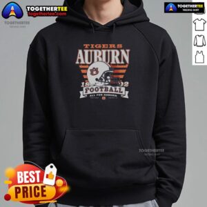 Alternative view of Hot Auburn Tigers Stripe Splash T-Shirt