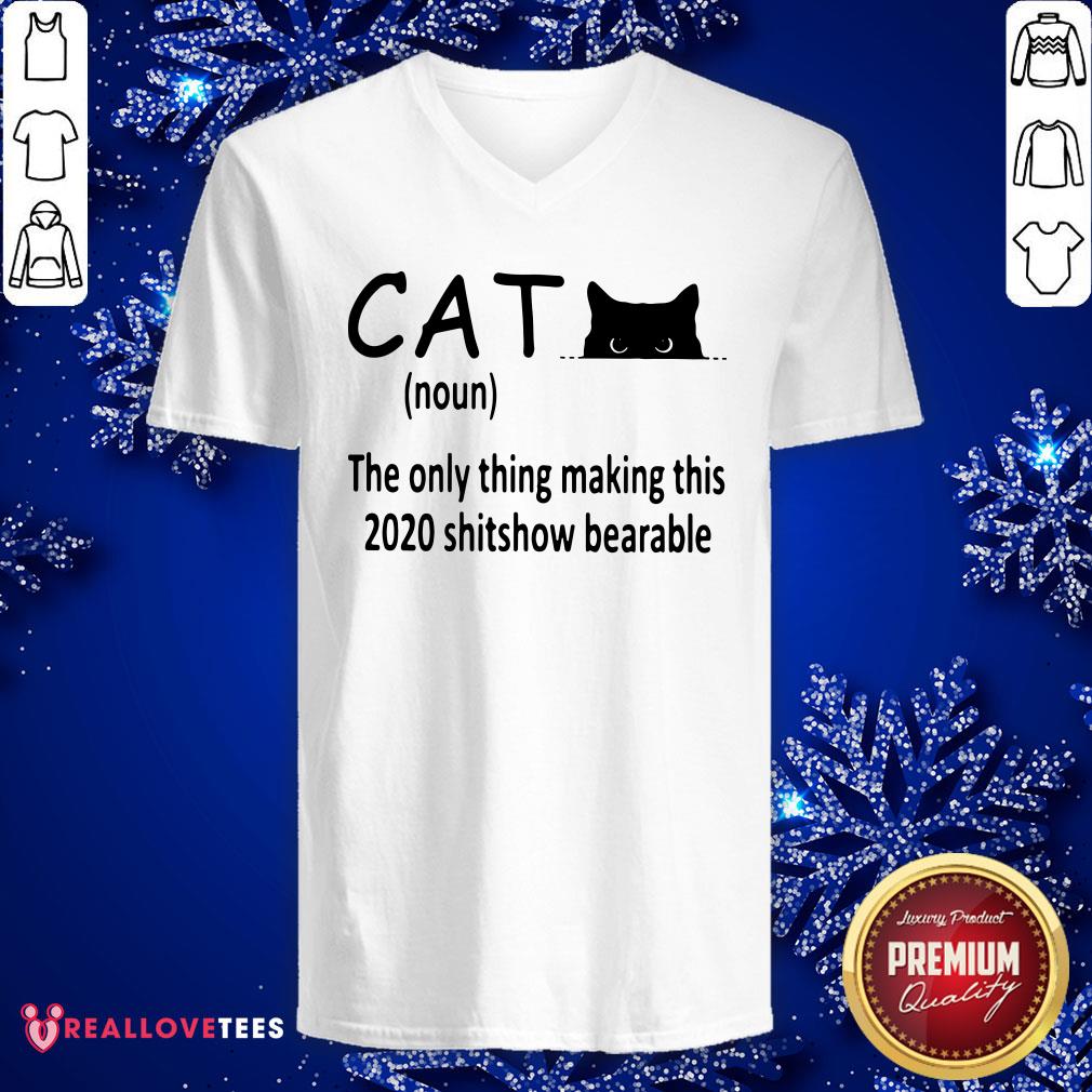 Cute Cat The Only Thing Making This 2020 Shitshow Bearable Shirt - Image 5
