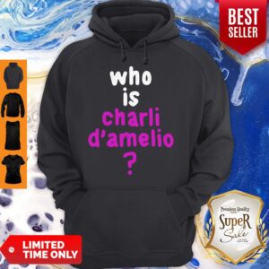 Alternative view of Premium Who Is Charli Damelio Shirt