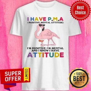 Have P.m.a Positive Mental Attitude I'm Positive I'm Mentally And I Know I Have Attitude Shirt