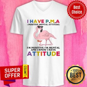 Alternative view of Have P.m.a Positive Mental Attitude I'm Positive I'm Mentally And I Know I Have Attitude Shirt