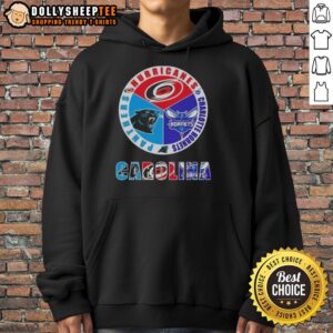 Alternative view of Top Carolina City Sports Hurricanes Charlotte Hornets Panthers Logo T-Shirt