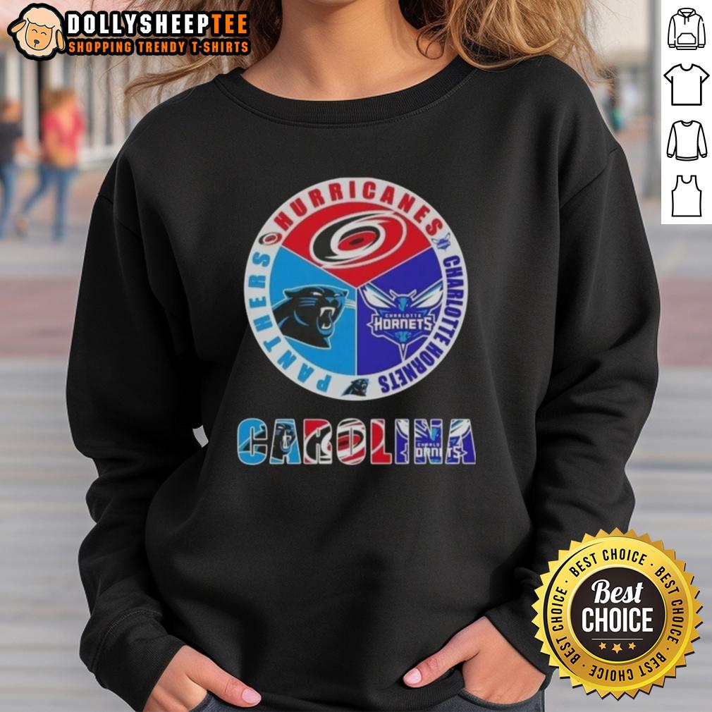 Top Carolina City Sports Hurricanes Charlotte Hornets Panthers Logo T-Shirt - Image 5