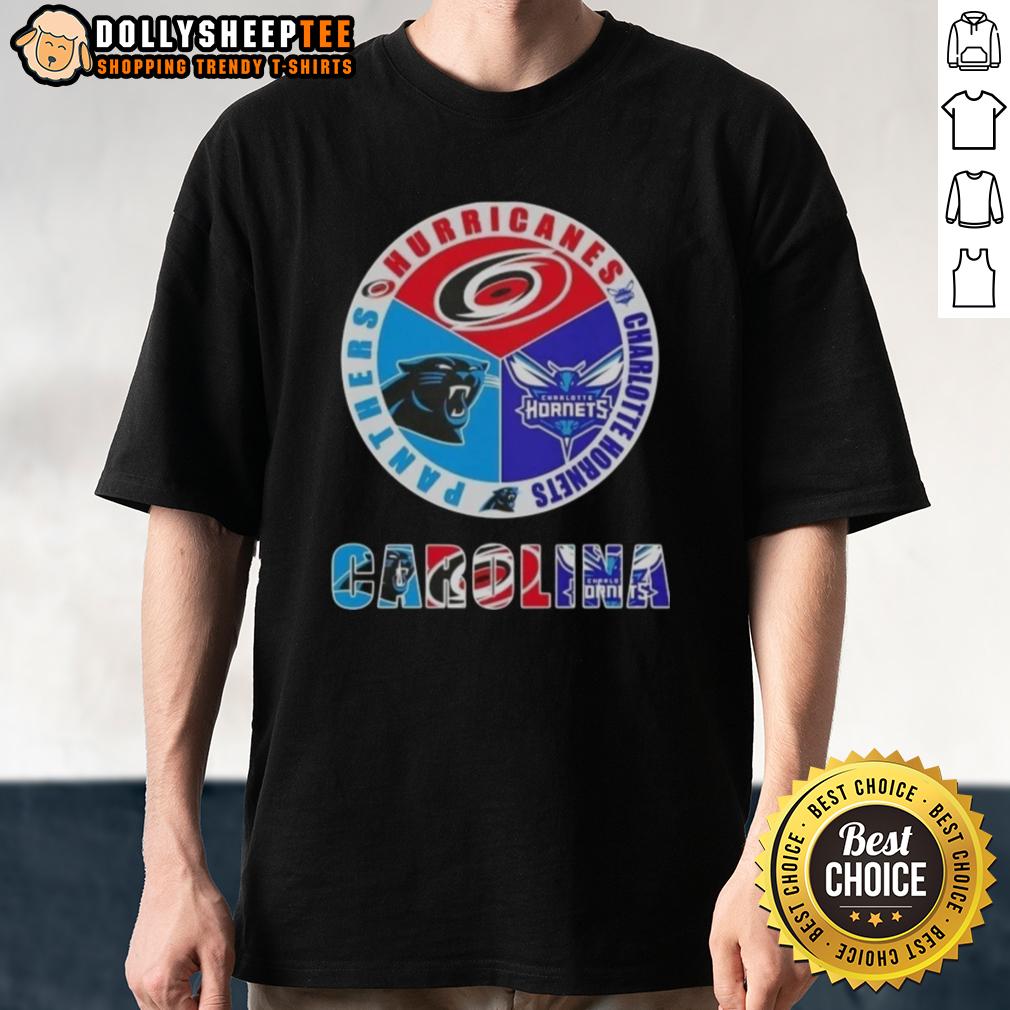 Top Carolina City Sports Hurricanes Charlotte Hornets Panthers Logo T-Shirt