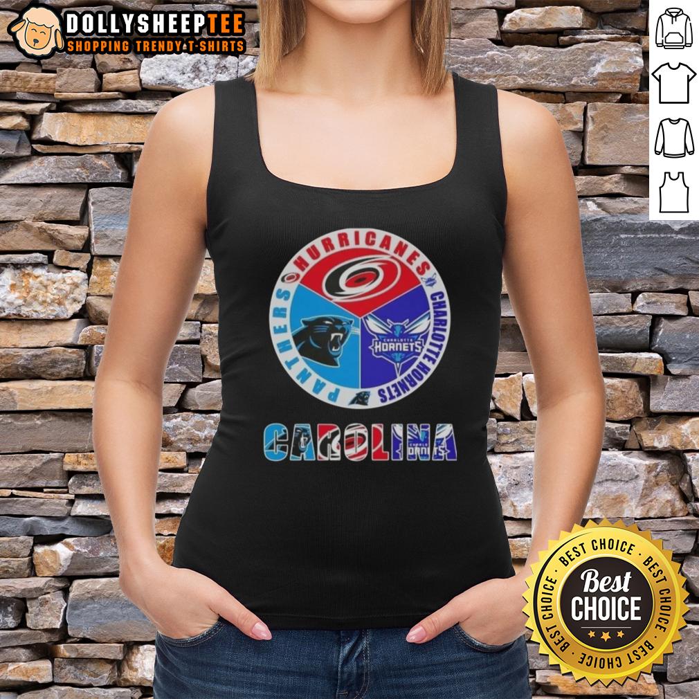 Top Carolina City Sports Hurricanes Charlotte Hornets Panthers Logo T-Shirt - Image 4