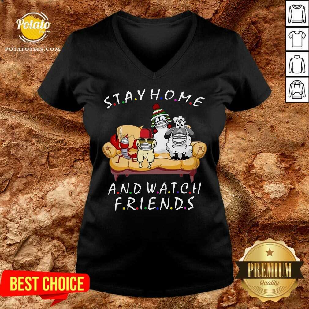 Pretty Pets Stay Home And Watch Friends Cartoon COVID-19 Shirt - Image 2