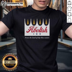 Nice Abolish Ice From The Land Of Sky Blue Waters T-Shirt