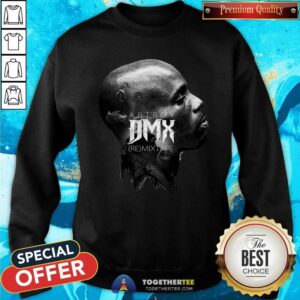 Alternative view of Awesome Art Boy Mixtape Dmx Shirt