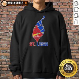 Alternative view of Nice St. Louis Sports Teams Graphic Transfer State T-Shirt