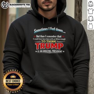 Alternative view of Awesome I Feel Down Then I Remember That I Could Have Been Born With An Iq Low Enough To Think Trump T-Shirt