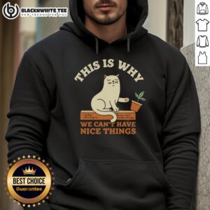 Alternative view of Awesome Cat This Is Why We Can't Have Nice Things T-Shirt