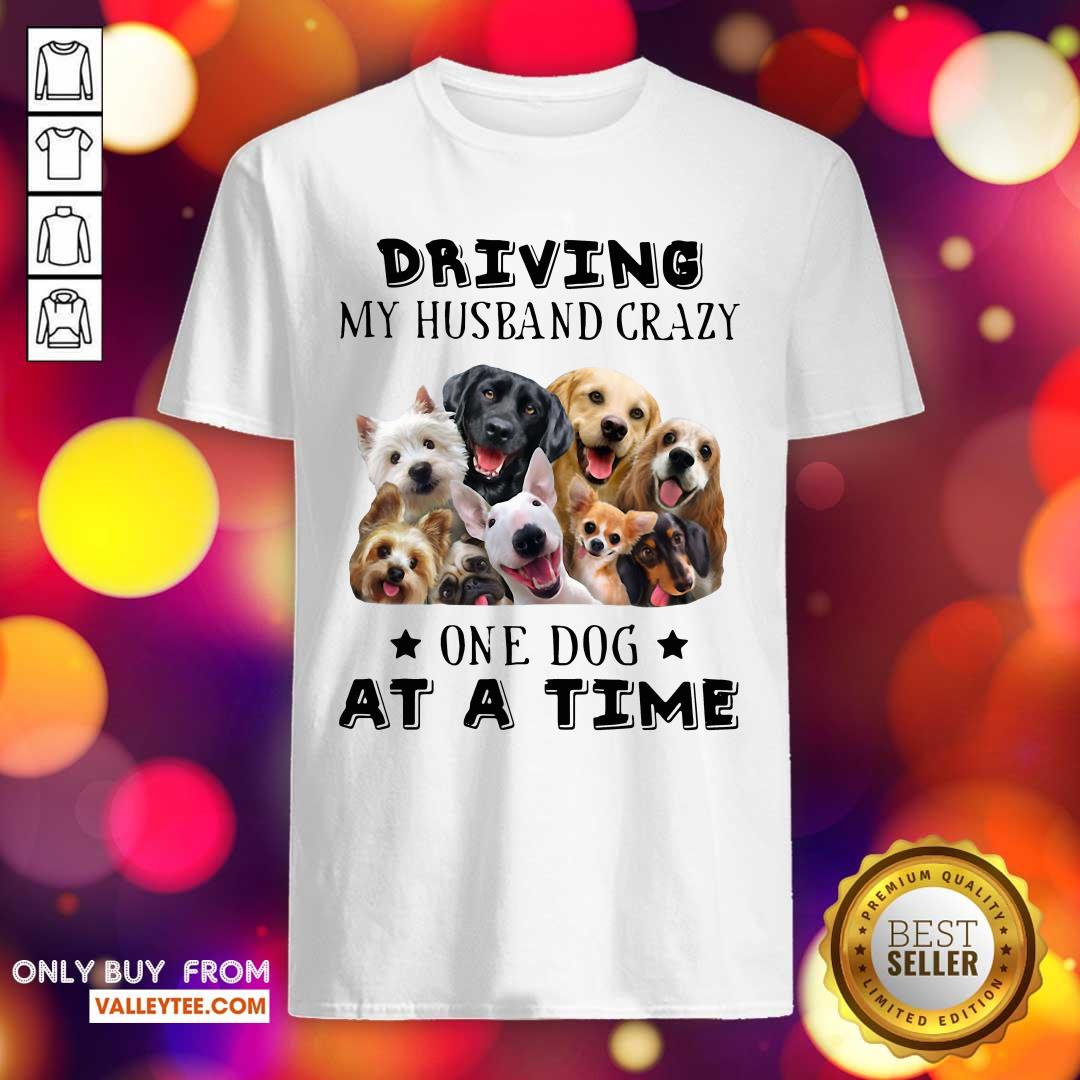 Great Driving My Husband Crazy One Dog At A Time Shirt
