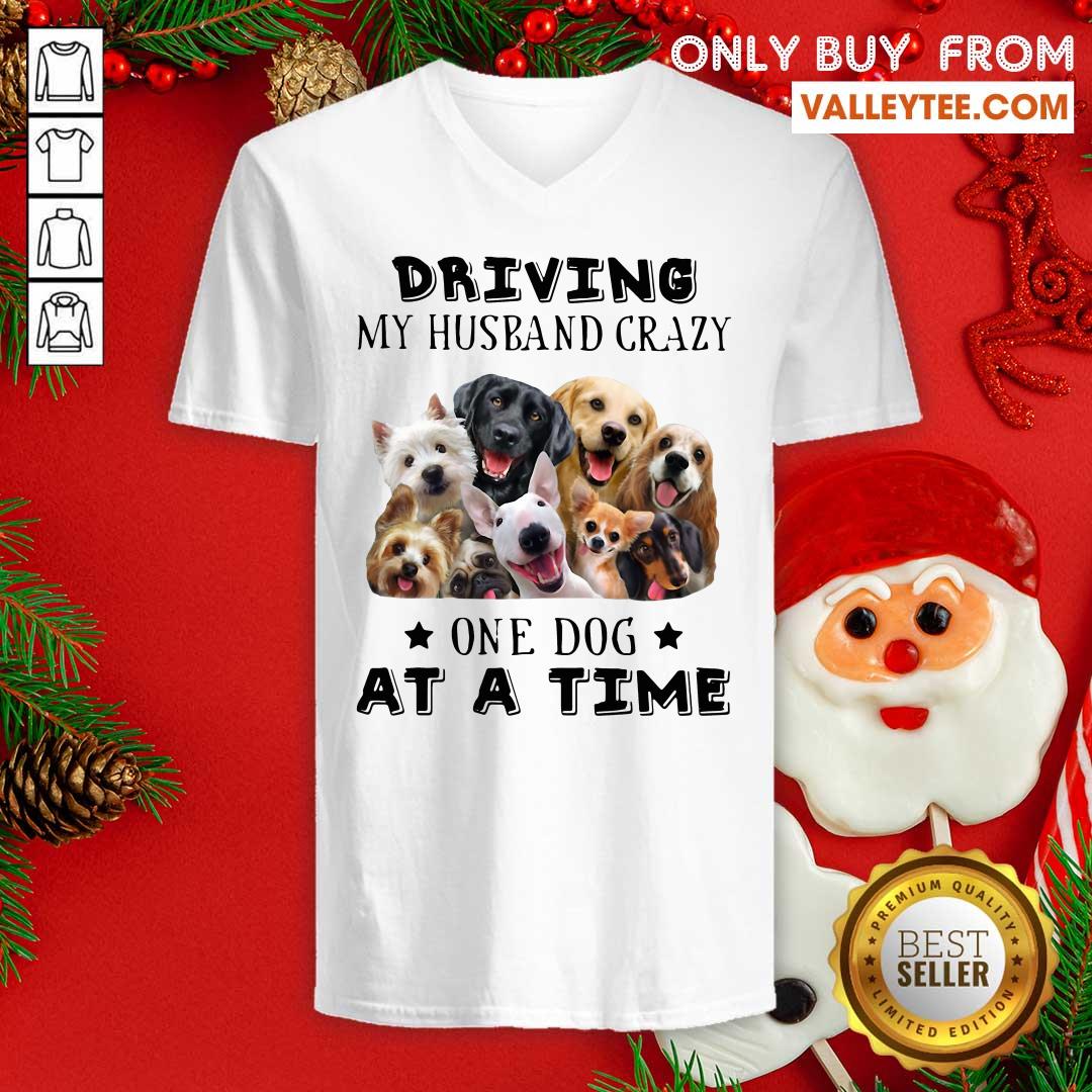 Great Driving My Husband Crazy One Dog At A Time Shirt - Image 3