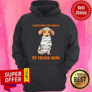 Alternative view of Dachshund Mummies Body I Survived The Great TP Crisis 2020 Shirt