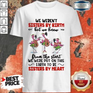 Flamingos We Weren't Sisters By Birth But Knew From The Start We Were Put On This Earth To Be Sisters By Heart Shirt