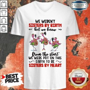 Alternative view of Flamingos We Weren't Sisters By Birth But Knew From The Start We Were Put On This Earth To Be Sisters By Heart Shirt