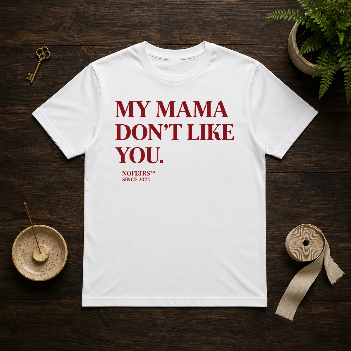 Official My Mama Don'T Like You Bold Quote Nofltrs Brand Established Since 2022 Shirt